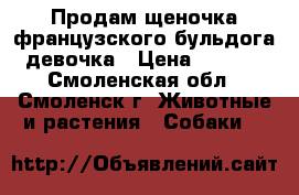 Продам щеночка французского бульдога - девочка › Цена ­ 14 000 - Смоленская обл., Смоленск г. Животные и растения » Собаки   